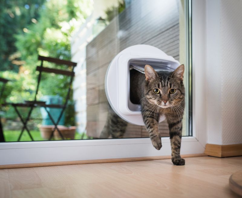 Pet Access Through Glass