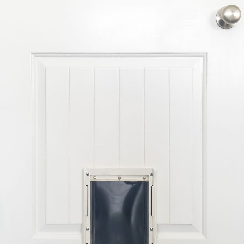 Dog Door Installation Cost — Cost of Dog Door Installation