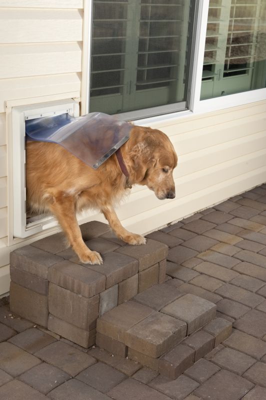 Dog Door Installation in Spring